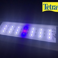 【まだあります♪】テトラ　パワーＬＥＤライト３０ 🐟39-43cmの画像