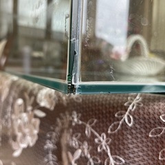 水槽の画像