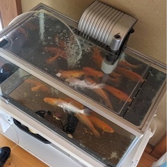全て差し上げます。の画像
