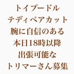 本日自宅まで出張可能なトリマーさん募集中