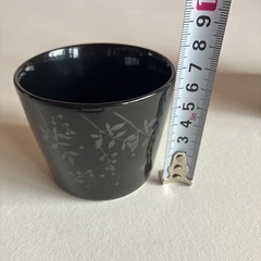 南天フリーカップ3個で100円‼️
の画像