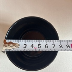 南天フリーカップ3個で100円‼️
の画像