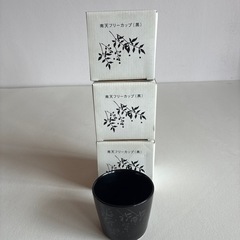 南天フリーカップ3個で100円‼️
の画像