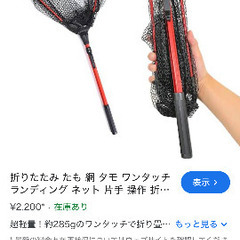 タモ　たも網　新品の画像