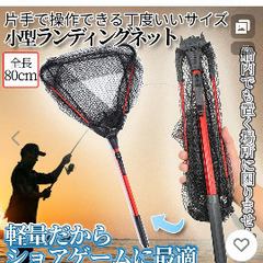 タモ　たも網　新品の画像