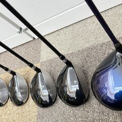 ji5341N ゴルフ 2セット adabat munsincwear XXIO mizuno PFW-101 ミズノ アイアン ドライバー 右利き 42本 キャディバックの画像