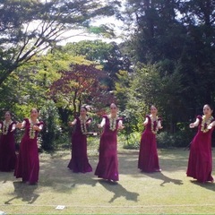 2025 ショー・イベント新規メンバー募集中🌺タヒチアンダンス&フラダンス教室の画像