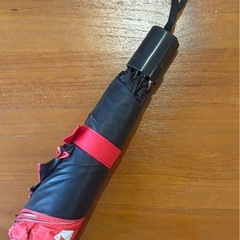 再値下げ！『非売品』万博グッズ！チリパビリオンの傘 (ゴッチ) 売布