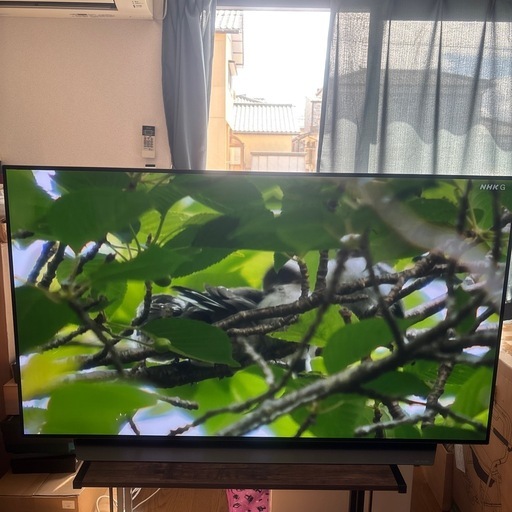 OLED55C9PJA 4K有機ELテレビ 55V型（商談中）