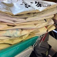 着物【リメイク/長期保管品】の画像