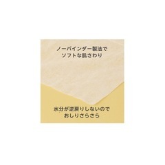 ピジョン　ソフライナーの画像