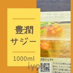 フィネス　豊潤サジー　1000ml  【賞味期限 26.3.2】の画像