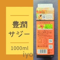 フィネス　豊潤サジー　1000ml  【賞味期限 26.3.2】の画像