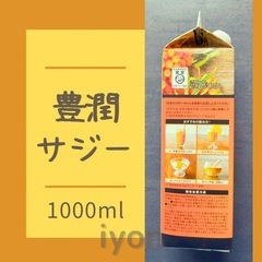 フィネス　豊潤サジー　1000ml  【賞味期限 26.3.2】の画像