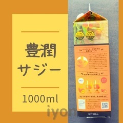 フィネス　豊潤サジー　1000ml  【賞味期限 26.3.2】の画像