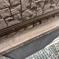 貰って下さい！窓枠の画像