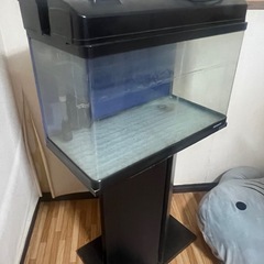 水槽セット
の画像