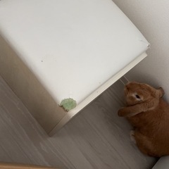 ドレッサーの画像