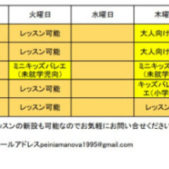 （毎週月～金までレッスン可能）和歌山県海南市にて新婚さんいらっしゃい出演のロシア人が指導するダンス教室の画像