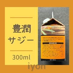 フィネス　豊潤サジー　300ml 【賞味期限 26.5.22】の画像