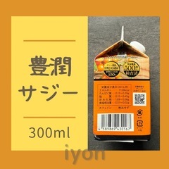 フィネス　豊潤サジー　300ml 【賞味期限 26.5.22】の画像