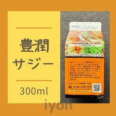 フィネス　豊潤サジー　300ml 【賞味期限 26.5.22】の画像