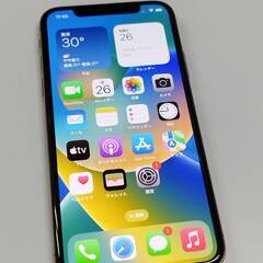 【SIMフリー】iPhone Xs/A2098/512GB〈MTE52J/A〉の画像