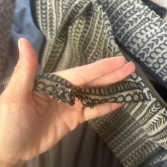 マークジェイコブ　ラージサイズ（ジャンク）の画像