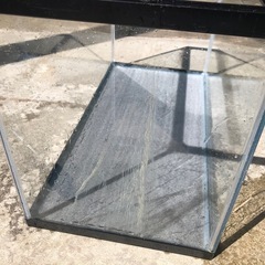 水槽60cm、上部フィルターの画像