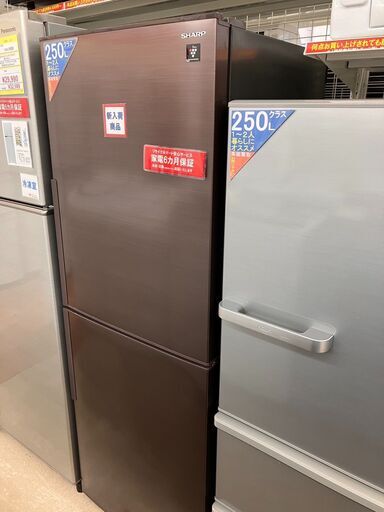 ?SHARP/シャープ?280L冷蔵庫?SJ-PD28G-T?2021年製?プラズマクラスター搭載?6991