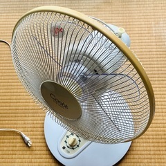 【期間限定 早い者勝ち】 Conbis 30cmリビング扇風機の画像