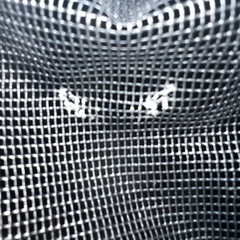 ペットキャリーバッグの画像