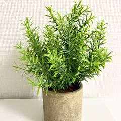 フェイクグリーン 観葉植物 3個セットの画像