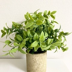 フェイクグリーン 観葉植物 3個セットの画像