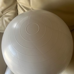バランスボール　白の画像