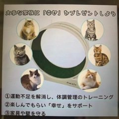 キャットホイール猫用新品　の画像