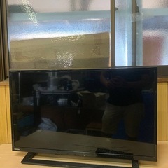 ✅TOSHIBA REGZA液晶カラーテレビ✅ ✅32S22✅