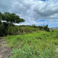 「古民家と畑で感じる、あの頃の日本」　稲敷市上根本