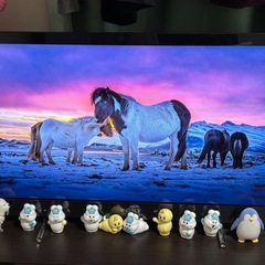 即日お渡しOK❣️32型テレビ  SONYの画像