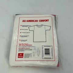 Hanes Tシャツ　Lサイズの画像
