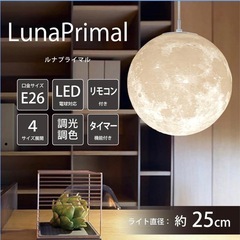 未使用保管品　匠の一品 月 吊り下げライト　の画像