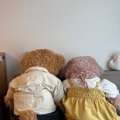 ダッフィー/シェリーメイ/Mサイズ/ディズニー/ぬいぐるみ/ペア/ディズニーベアの画像