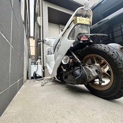 ZX(AF35中期)ロンホイ車両が当たる支援型ガチャ！！の画像