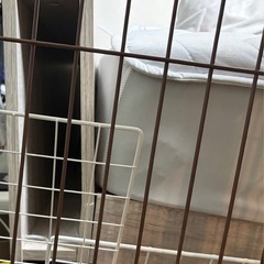 シングルベッド
の画像