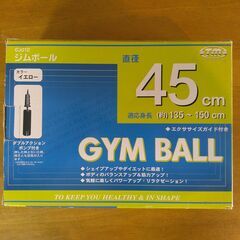 バランスボール GYM BALL ジムボール 45cm ポンプ付きの画像