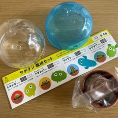 家庭菜園　栽培セット　3点の画像