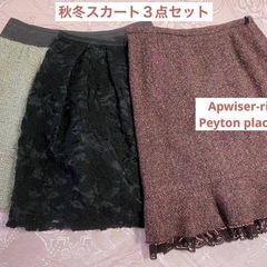 Apuwiser-richeなど秋冬ミニスカート３点セットの画像