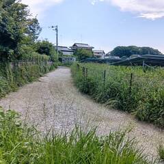 仕上げて５万！！草刈り作業ですの画像