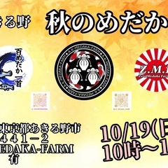 10／19 あきる野　メダカ即売会