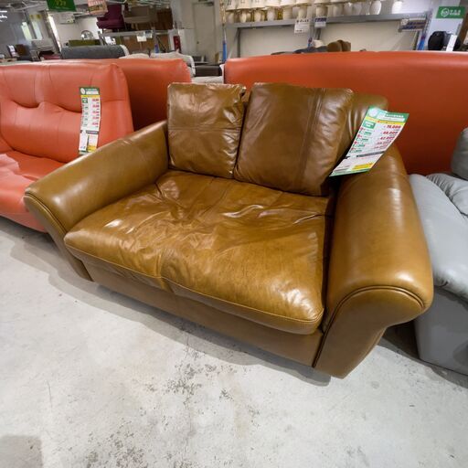 1.5Pｿﾌｧ/皮(No:1269048)